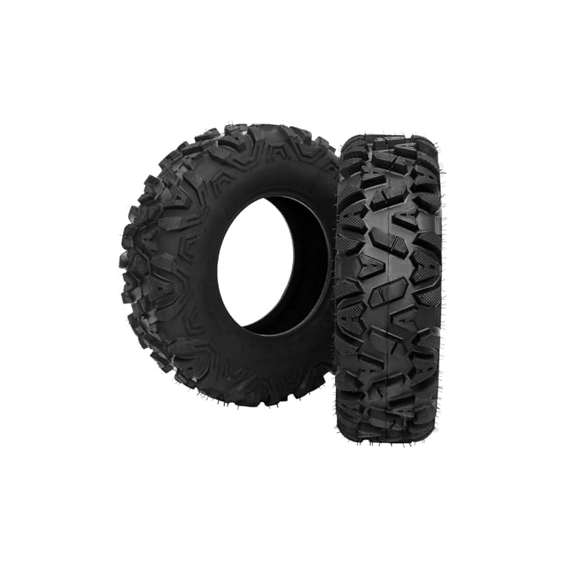 41zh6bc1sgl. sl500 . ss800