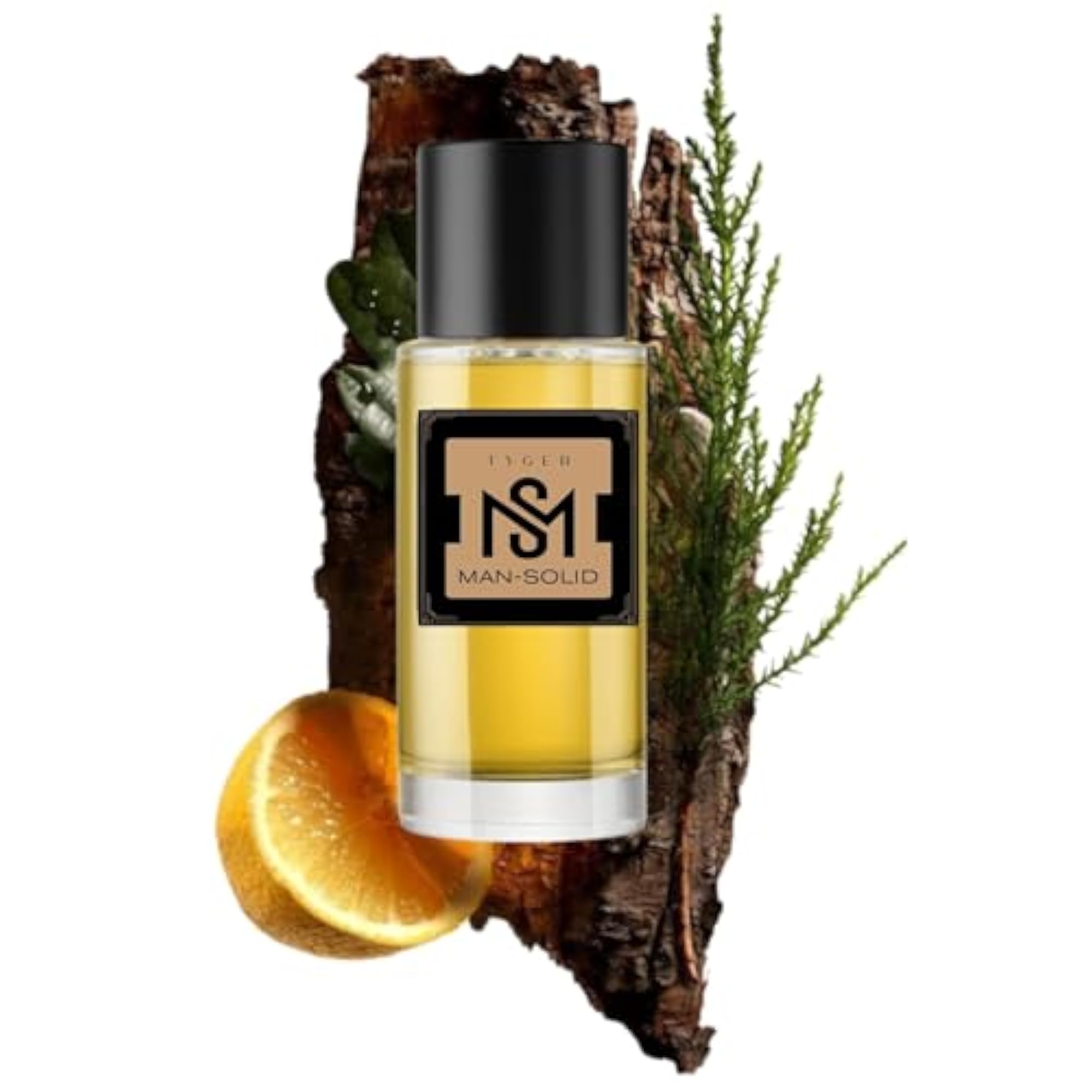 TYGER Spicy Eau De Parfum for Men, Long Lasting