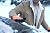 G & F Products Waterproof Winter Gloves – Insulated Cold Weather Work Gloves with HPT Palm Coating, Windproof & Abrasion-Resistant for Snow Shoveling, Construction, and Outdoor Activities, Large