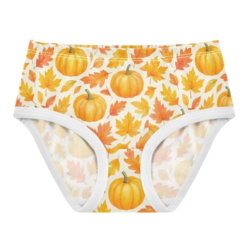 Animal Toddlers Underwear Floral 2t Cotton Cute Panties Girl Pumpkins Autumn Leaves Orange Underpants Briefs