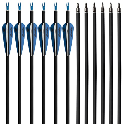 E5E10 31Inch Carbon Arrow Archery Targeting Practice Hunting Arrows For Compound & Recurve Bow With Removable Tips(Pack Of 12) (Blue White) #TOP7