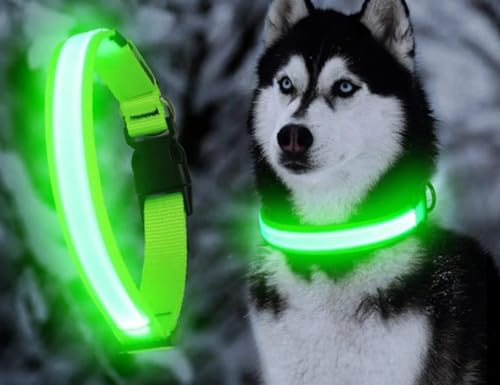 NAKOSITE LED Leuchthalsband Hund + Hundepfeife + Clicker Hund – Verstellbare Größe, 3 Lichtmodi, Hohe Sichtbarkeit bis 500m, Nachtsicherheit für kleine bis große Hunde (Grün)