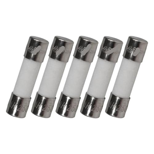 Fusibles en céramique 250 V 20mm cartouche de rechange pour micro-ondes et tableau