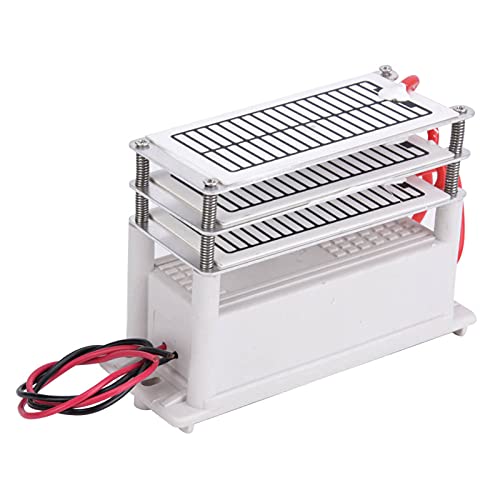 ERYUE Ozonizador Portátil 18G para Uso Profesional, Generador de Ozono Seguro y Eficiente con Salida Rápida, Elimina los Olores y Refresca el Aire, Aplicable a Secadores, (220V)