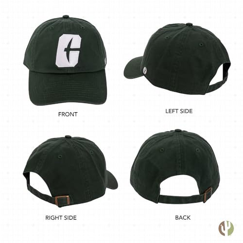 Gorra bordada University of North Carolina Charlotte miniatura 3