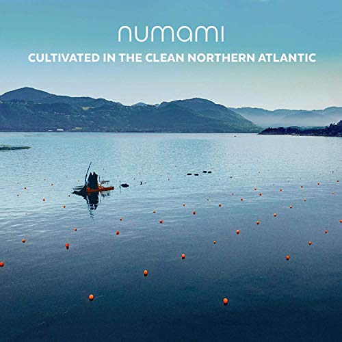 3 Organic Seaweed Flakes With A Fresh & Mild Taste For All Your Needs #TOP7