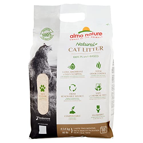 Mon Chat Fait Pipi Partout Dans La Maison Quelle Est La Solution