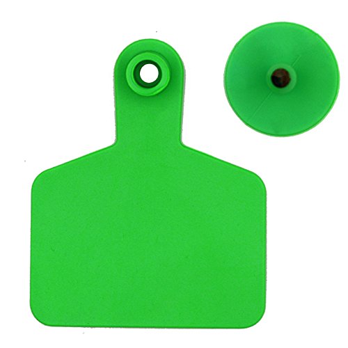 Livestock Identification Blank Ear Tags for Goats Sheep Cattle Cows Pigs 100 Packs TPU Precision Ear Tags (Cattle, Green)