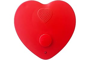 16-Minute Voice Recorder for Teddy Bears, Creative Personalized Gifts for Loved Ones