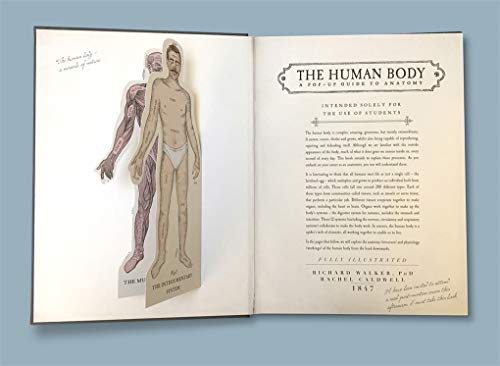 The Human Body: A Pop-Up Guide to Anatomy