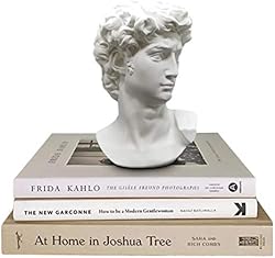 Greek Statue of David - Head Bust Statue Decor - David Statue for Greek Mythology Decor - Greek Bust for Roman