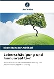 Leberschädigung und Immunreaktion: Nicht-alkoholische Fettlebererkrankung und alkoholische Lebererkrankung