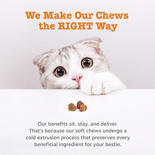 Image of Zesty Paws Calming Chews for Cats - Composure & Relaxation for Everyday Stress & Separation - with Ashwagandha, Organic Chamomile, L-Theanine & L-Tryptophan - Bacon - 60 Count - Cat