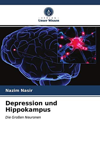 Depression und Hippokampus: Die Großen Neuronen