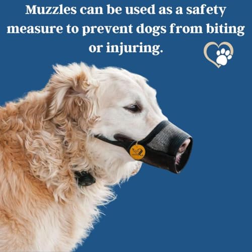 Image of Sage Square Net Muzzle Dog - Secure & Breathable Dog Muzzle for Safe Walks | Adjustable Straps & Soft Mesh Cover | Prevent Biting, Chewing, and Licking | Comfortable and Stylish Design (Extra Small)