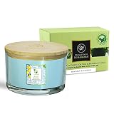 CocoSoy Organic Candles Hand Poured Natural Flower Extracted Fragrance Oils "Sea Salt & Citrus" Bota