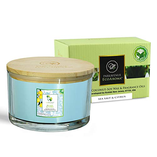 Cocosoy Organic Candles Hand Poured Natural Flower Extracted Fragrance Oils "Sea Salt & Citrus" Botanical Candles For Aromatherapy Home Scent 18 Oz Jar 1-Pack Beautiful Xmas Gift Box #TOP22