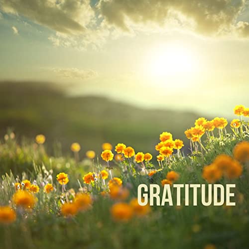 Gratitude 521