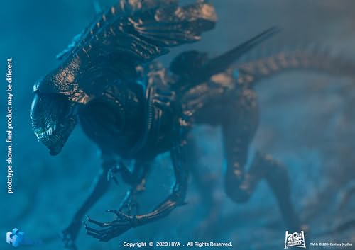 Hiya Toys Exquisite Mini Series 1/18 Scale 5 Inch AVP Battle Damage Alien Queen Action Figure Multic