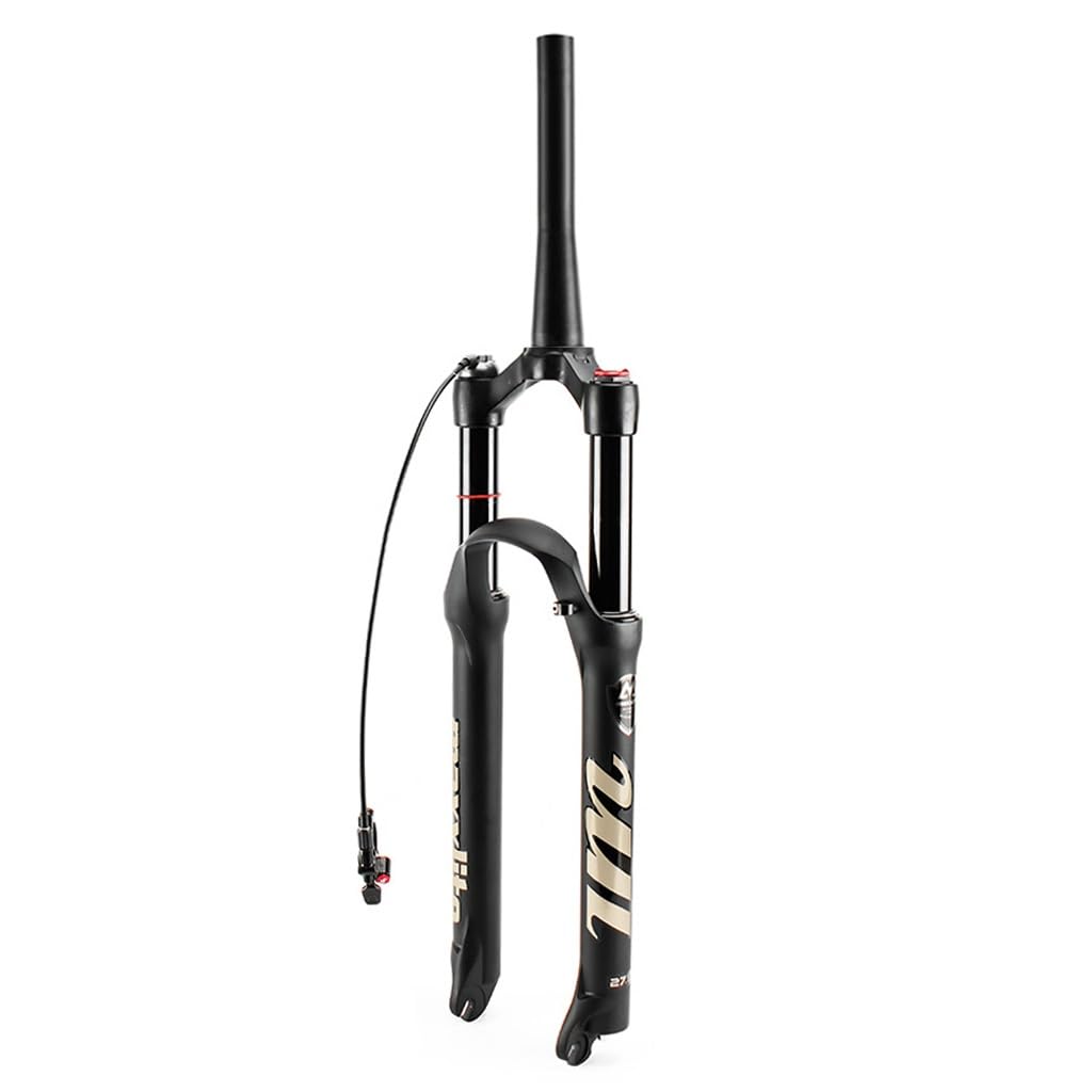 Fourche suspension vélo 29 pouces magnésium amortisseur 120mm avec réglage du rebond