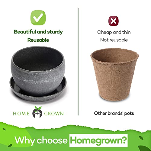 Bonsai-Tree-Kit--Plant-4-Species-of-Bonsai-Tree-w-Our-All-in-One-Plant-Kit-Bonsai-Pots-Peat-Pellets-Including-a-Bonus-in-Depth-Grow-Guide-by-Home-Grown-Great-Gardening-Gifts-for-Women-and-Men