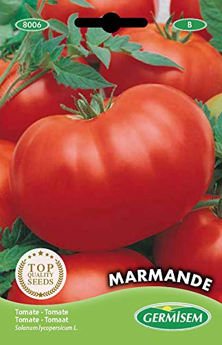 Germisem Marmande Semillas de Tomate 2 g