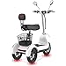 J&LILI Scooter Elettrico Triciclo - Scooter Elettrico A 3 Ruote per Adulti/Senior per Il Tempo Libero Viaggio Mobility Scooter, 500W, Ruota da 12 Pollici