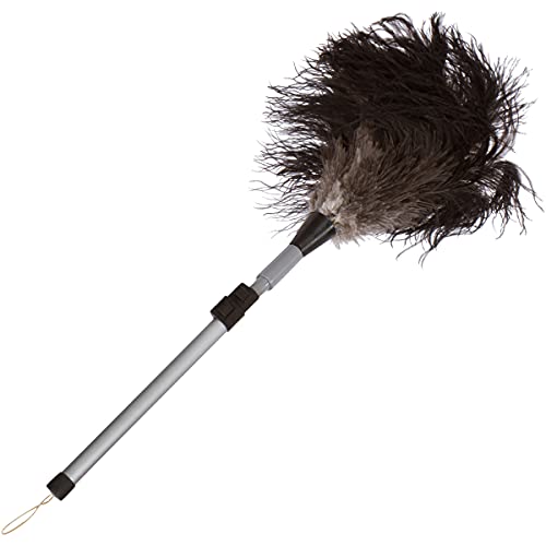 Ostrich Feather Duster With Extension Pole Up To 42" #TOP2