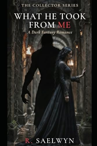 What He Took From Me: A Dark Fantasy Romance (The Collector Series Book 1)