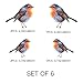 Bird Vinyl Stickers, Robin Sticker, Cute Watercolor Robin, Mirror Stickers, Car Sticker Vinyl Decal, Robin Wall Sticker, Nursery Decal, Bird Wall Decal, Christmas Decor, Kids Room Decal, Set of 6