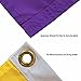 College Flags & Banners Co. Louisiana State LSU Tigers Eye Logo Large Grommet Banner Flag