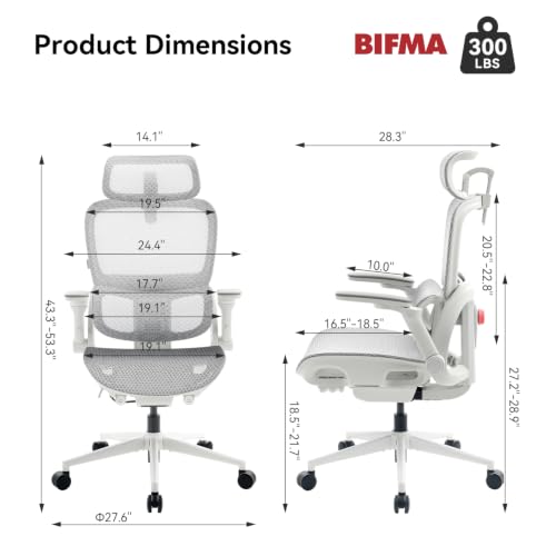 Image of SIHOO B300 Pro Ergonomic Office Chair Without Footrest, 4D Lumbar Support