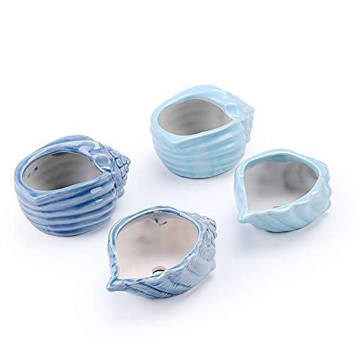 Sun-E 5.5 Inch Blue Conch Ocean Series Ceramic Base Serial Set Succulent Plant Pot Cactus Plant Pot Flower Pot Container Planter With Drainage Hole Gift Idea 4 In Set(Plants Not Included) #TOP2