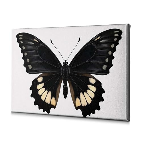Assiettes décoratives papillon noir 30x40cm toile murale design pois