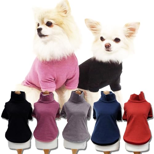 �N�[�N�`���[�� �e���w���c �n�C�l�b�NT�V���c (5�F) �V�j�A�� ����앞 ���� ���̕� �y�b�g�� 50051 (�O���[) (S) ���{�� (�O���[, M)