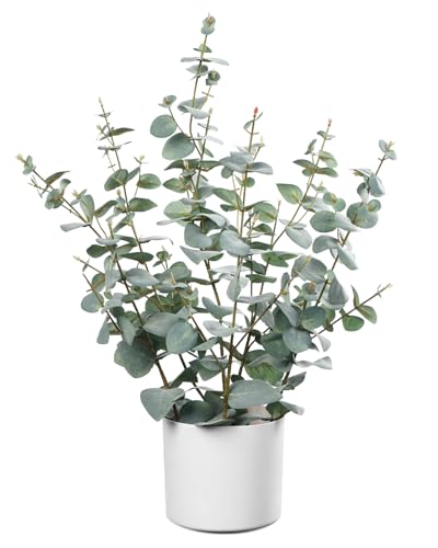 Leflos 60cm Eucalipto Artificial, Planta de eucalipto Artificial con 235 Hojas de dólar de Plata, Adecuado para la Mesa y la decoración de Interiores