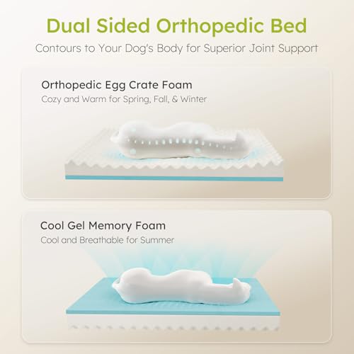 Image of CWAWZ Jumbo Dog Bed for Extra Large Dogs, Orthopedic Dog Bed with Cooling Gel Memory Foam, Waterproof Pet Bed with Removable Washable Cover, 45 inch Pet Sofa Couch Dutch Velvet with Bone Toy, Black