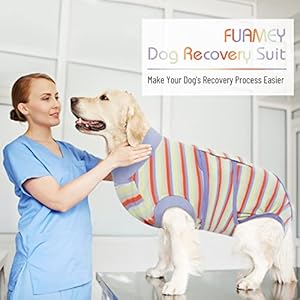 Fuamey recovery suit for dogs after surgerysoft breathable dog bodysuit e collar  cone alternative surgical suitmale female dog neuter spay suits anti licking wounds onesie purple stripes xs   cucciolini doodles