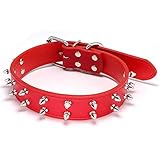 Cuero engrasado no tóxico: para obtener un cuero grueso y duradero, lo engrasamos para que huela a cuero y aceite. No te preocupes, el collar es saludable y agradable para la piel de tu mascota