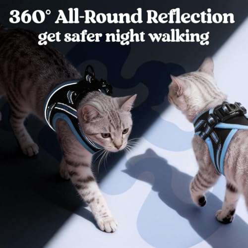 Image of rabbitgoo Cat Harness and Leash Set, Step-in Soft Vest, Black & Light Blue | Escape Proof, Lightweight, Easy-on & Adjustable, Hook & Loop with Buckle, Reflective, for Kittens & Small Cats Walks, S