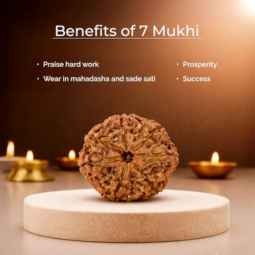 Image of Divine Hindu Original 7 Mukhi (Seven Face) Indonesia Rudraksha | Saat Mukhi Rudraksh Bead for Meditation, Protection & Spiritual Growth | Natural Rudraksha for Men & Women | Prayer Bead for Success