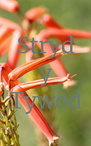 Stryd y Tywod (Welsh Edition)