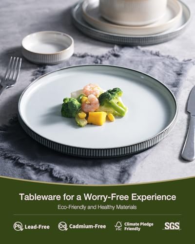 Image of Famiware Star 12-Piece Stoneware Dinnerware Sets for 4, Reactive Glaze Plates and Bowls, Modern Rustic Dishes for Everyday & Formal Use, Chip /Scratch Resistant, Microwave /Dishwasher Safe, White & Blue