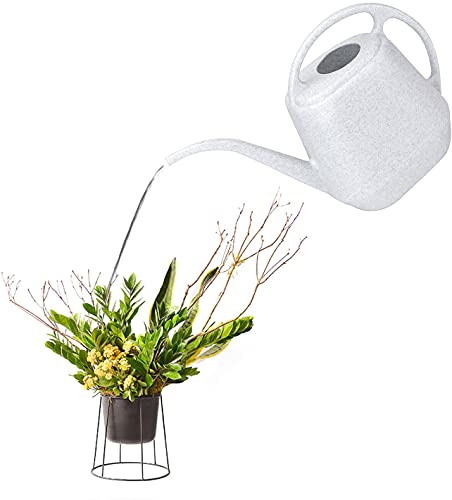 Fasmov Plastic Watering Can, 1-Gallon #TOP5