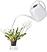 Fasmov Plastic Watering Can, 1-Gallon