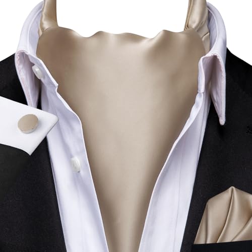 Image of Dubulle Paisley Floral Ascot for Men Self Tie Mens Cravat and Pocket Square Cufflinks Wedding