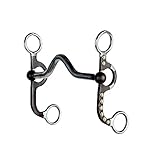 Aime Imports Medium Port Bit with Silver Dots and Bars N/A 6