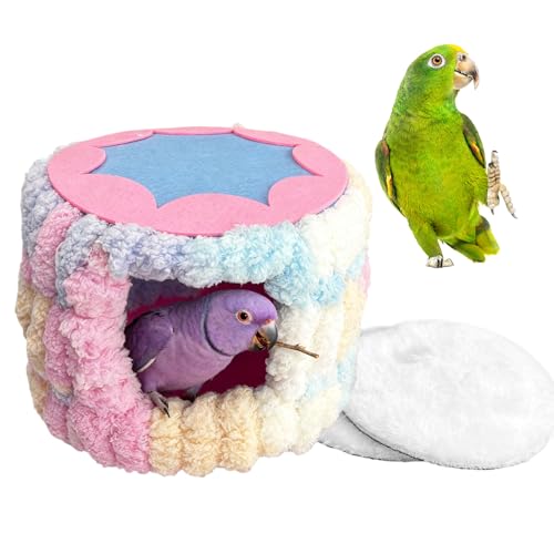 P[Wp xbh - ~̉ pbht,V_[  ̑ xbh | IE IJCR RWA uo[h tB` X ``   ybg pi