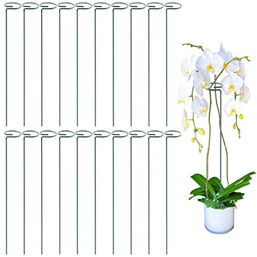 HiGift 20 Pack 24 Inch Single Stem Plant Support Stakes, Flower Stakes and Supports Rings for The Garden, Metal Garden Stakes for Tall Plant Vegetables Amaryllis Orchid Lily Sunflower Rose Narcissus