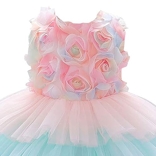 Image of Hopscotch Baby Girl's Fit & Flare Long Dress